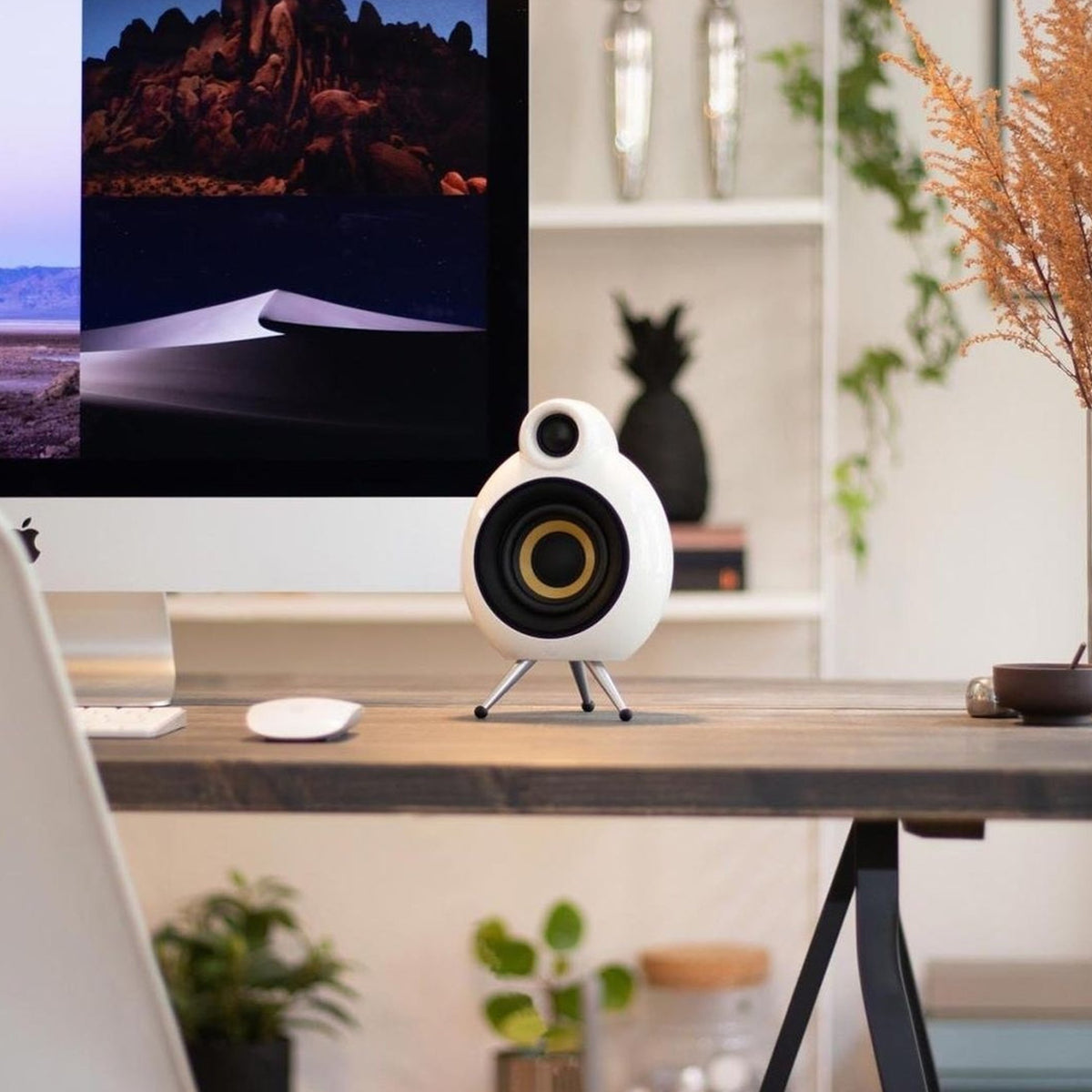 Technology & Audio