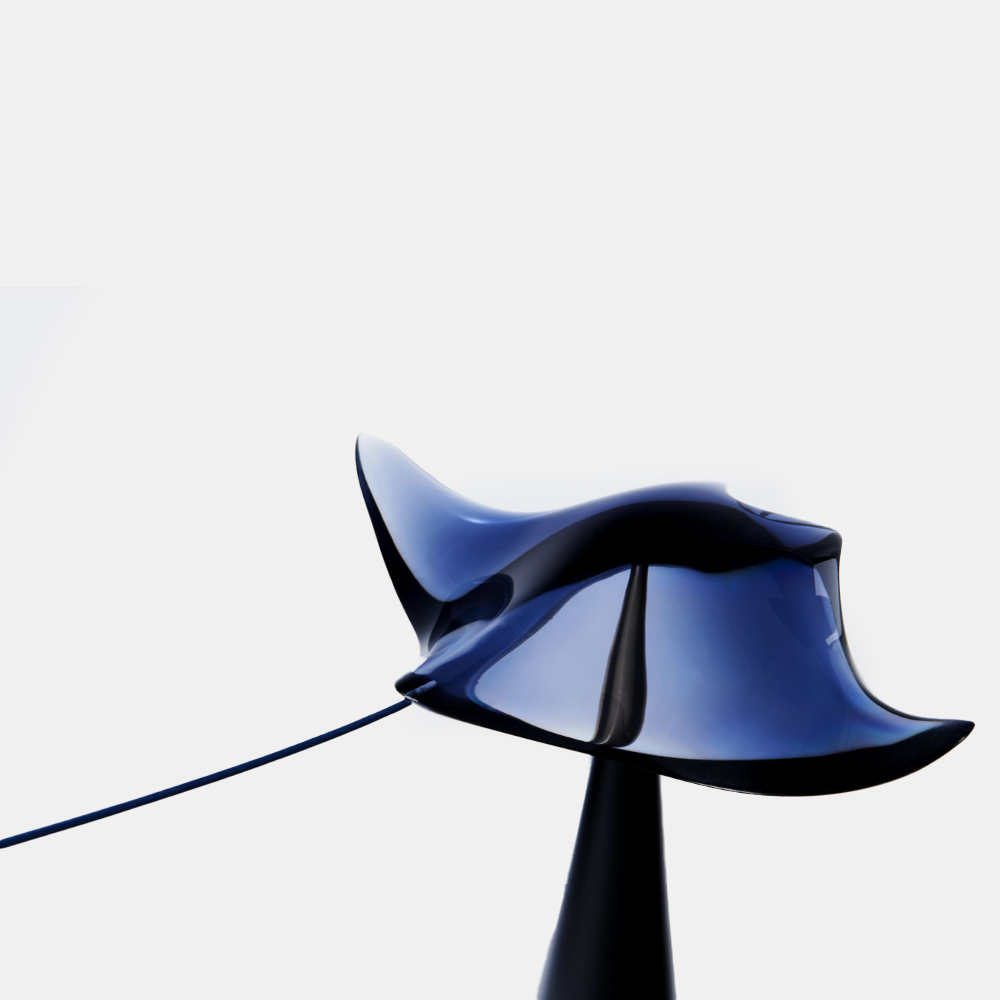 Hyunjin-Seoul Manta Ray Resin