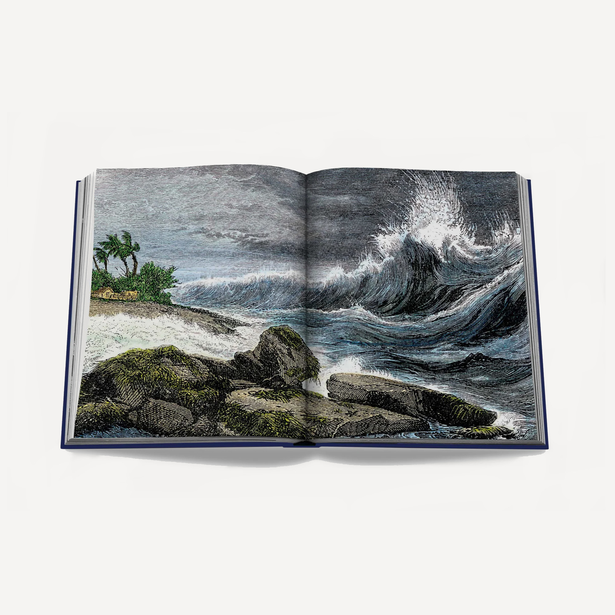 Assouline Ocean Wanderlust