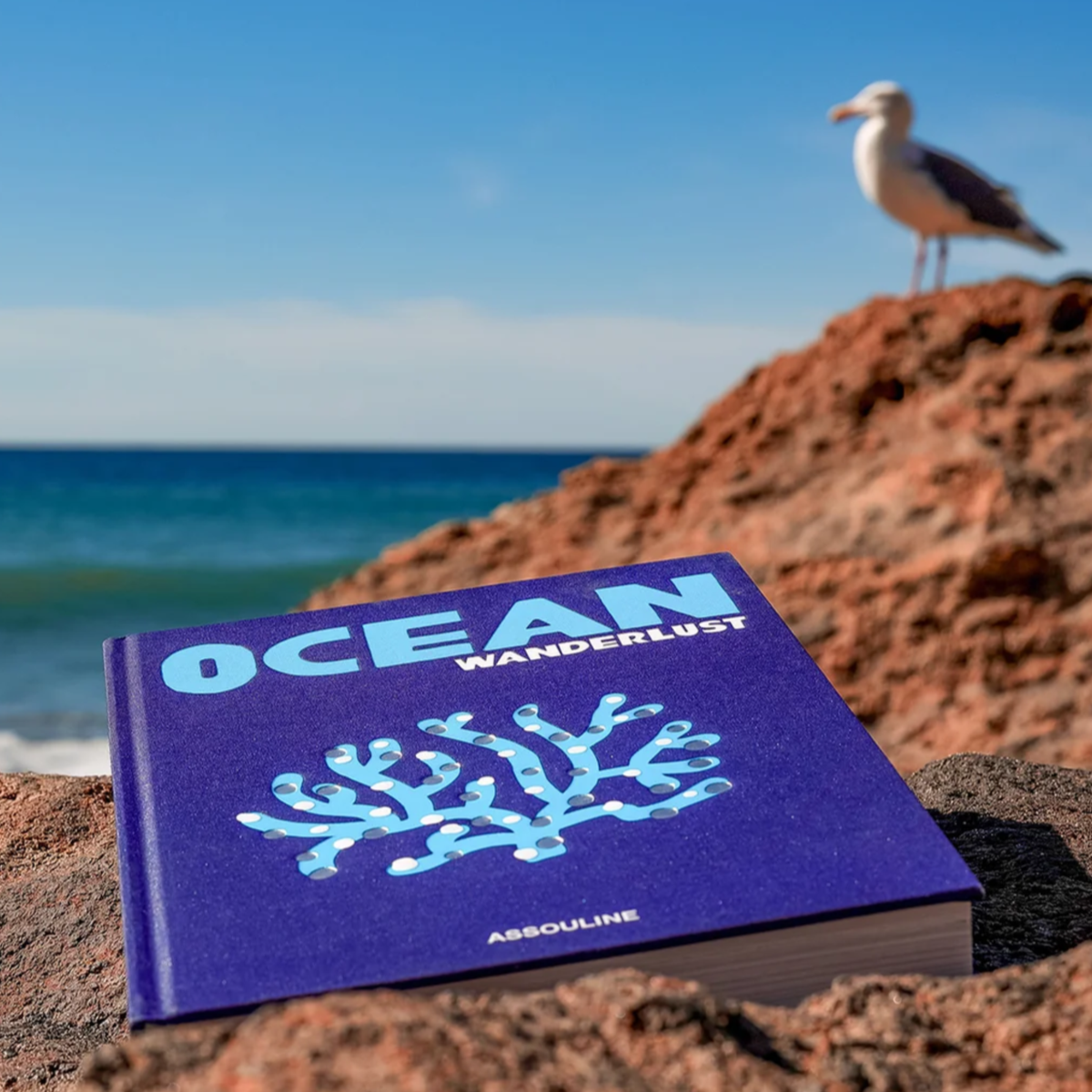 Assouline Ocean Wanderlust