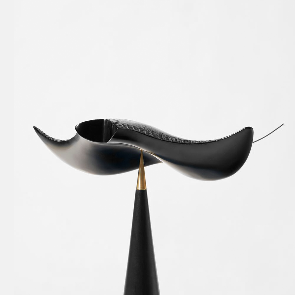 Hyunjin-Seoul Flying Manta-Ray