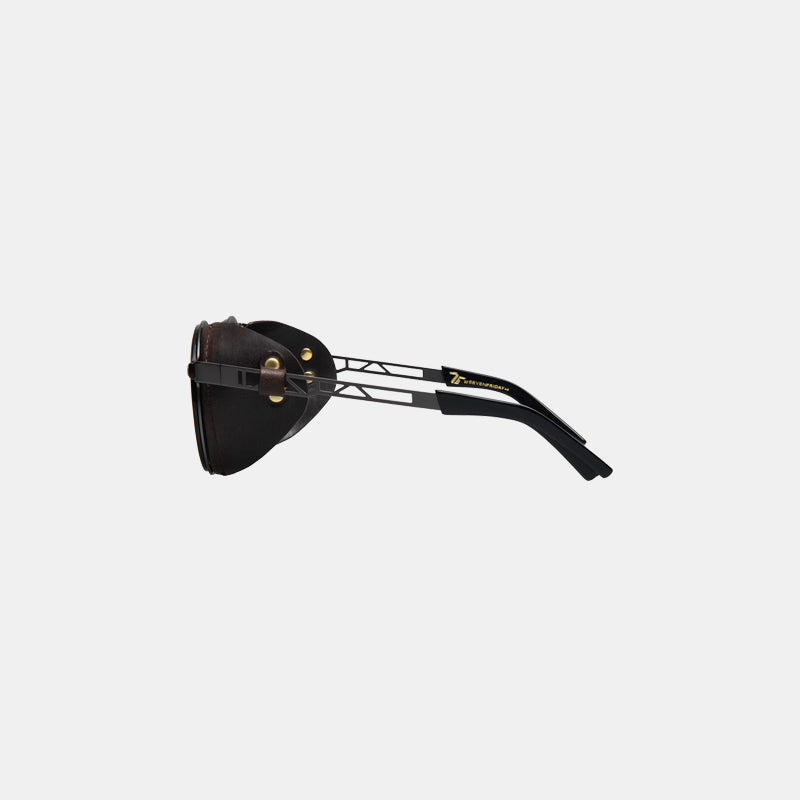 SF-INS2/03 REVOLUTION SUNGLASSES SIDE